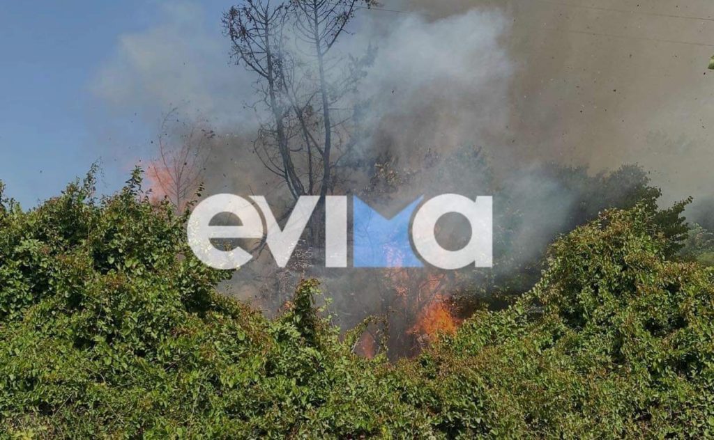 Συναγερμός στην πυροσβεστική: Φωτιά και στην Κύμη Ευβοίας (Photos)