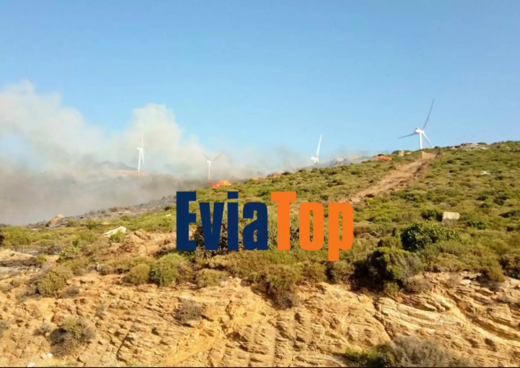 Φωτιά στην Κάρυστο: Εντολή εκκένωσης από το 112 για το χωριό Πλατανιστός