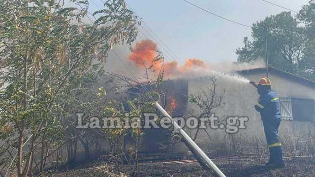 Λαμία: Συναγερμός για φωτιά δίπλα σε σπίτια στον Αφανό (Video)