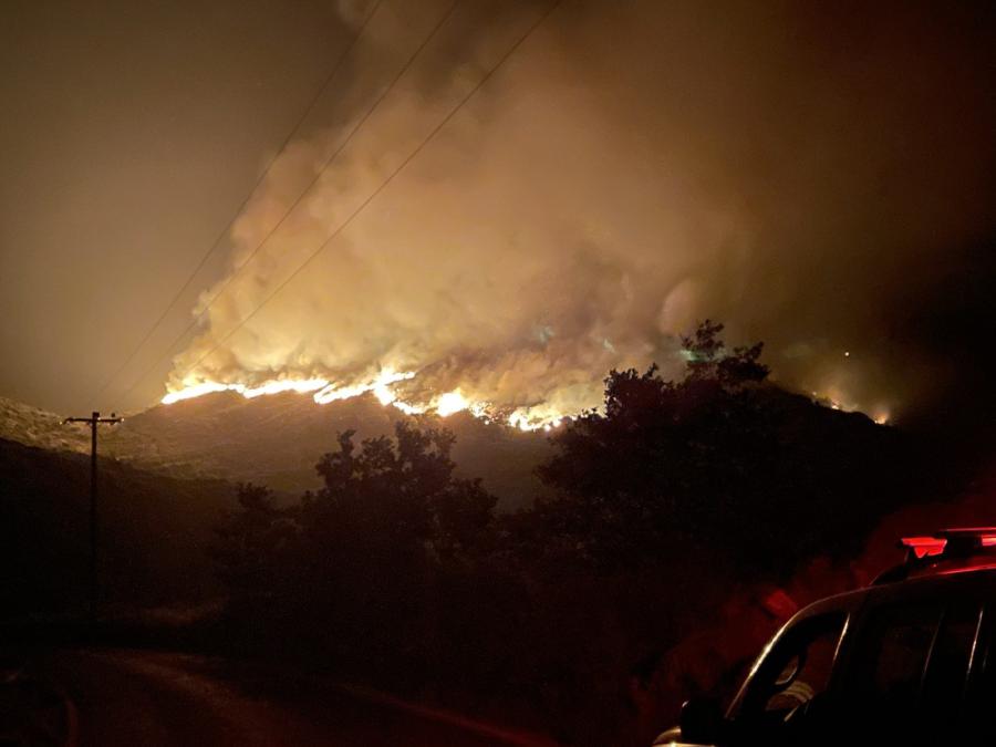 Φωτιά στη Φθιώτιδα σε αγροτοδασική έκταση – Ολονύχτια μάχη με τις φλόγες
