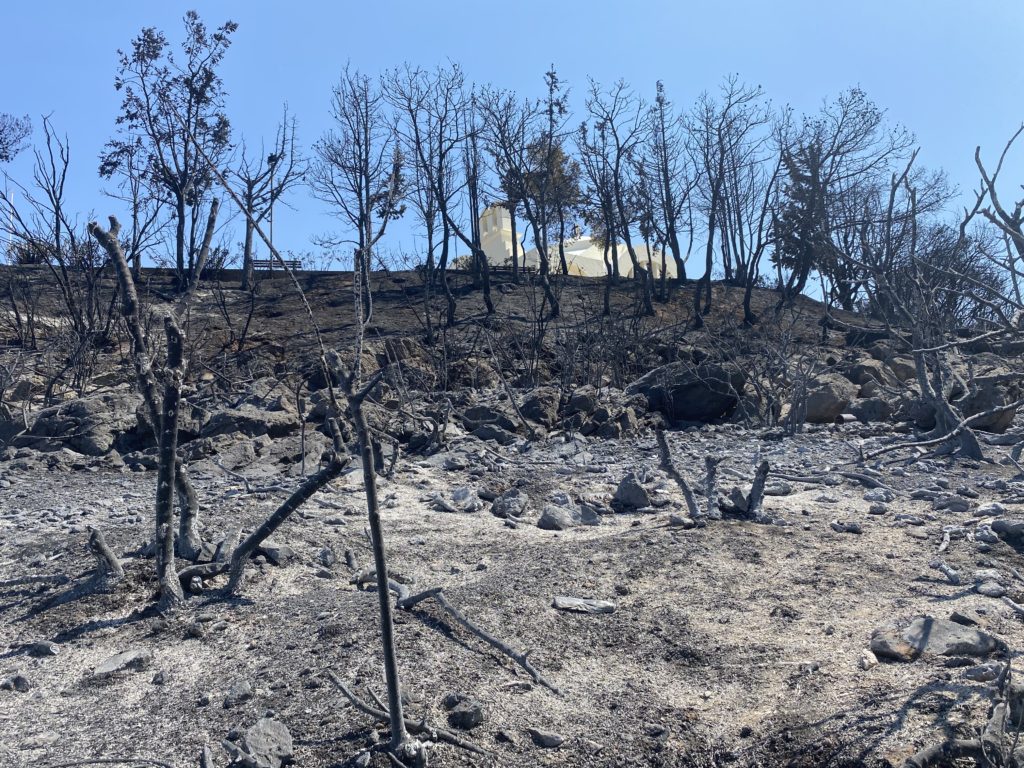 Το documentonews.gr στη Σαρωνίδα: Η περιοχή μετράει τις πληγές της από την καταστροφική πυρκαγιά (Photos – Video)