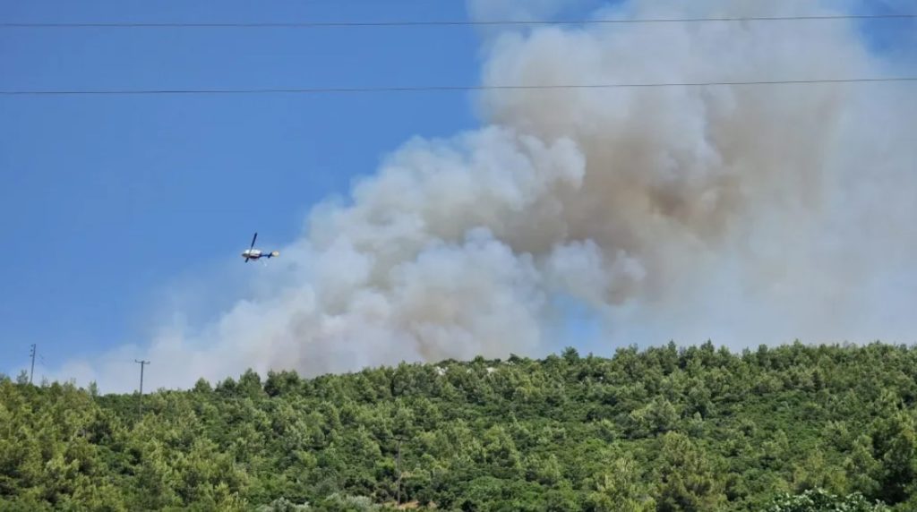 Φωτιά στο Μαρκόπουλο Ωρωπού: Βελτιωμένη η εικόνα από την πυρκαγιά – Ισχυρές δυνάμεις της πυροσβεστικής στο σημείο