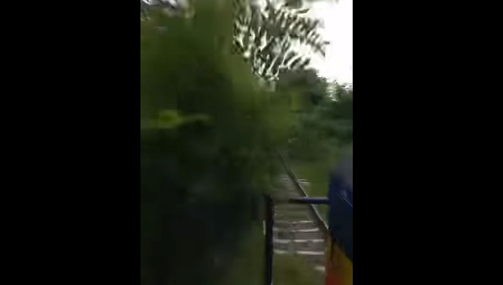 Οι γραμμές του τρένου έχουν μετατραπεί σε… «ζούγκλα» πριν από τη Δράμα (Video)