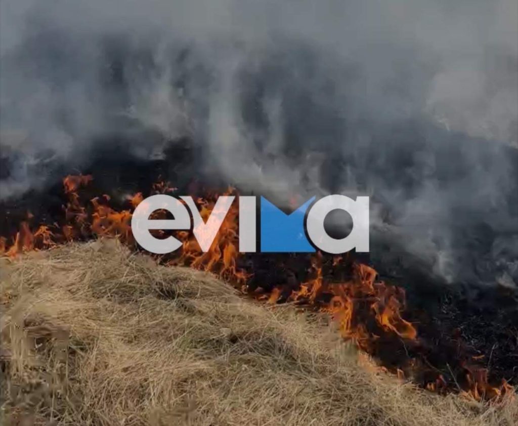 Φωτιά σε δασική έκταση στο Πανόραμα Ευβοίας