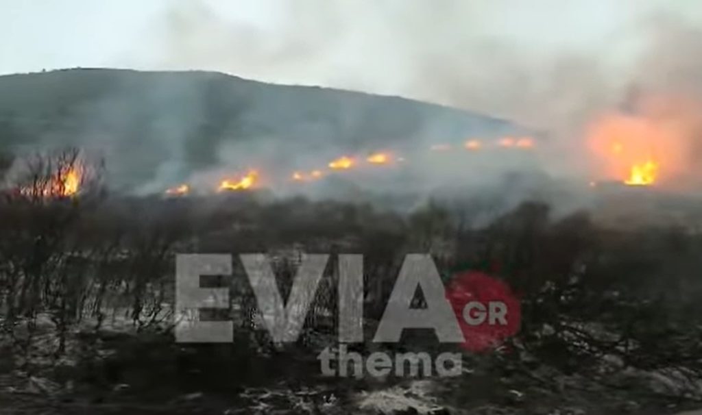 Εύβοια: Φωτιά στο Μηλάκι Αλιβερίου – Κοντά στο εργοστάσιο της ΔΕΗ (Video)