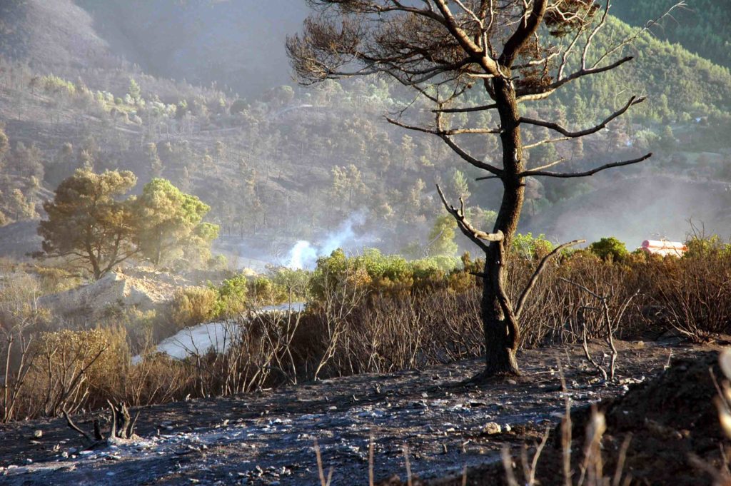 Σκιάθος: Οριοθετήθηκε η φωτιά στην Πούντα