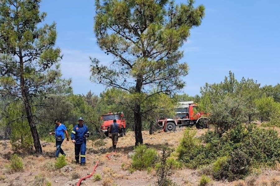 Υπό έλεγχο τέθηκε η φωτιά στην Αχλαδερή Λέσβου