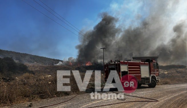 Πυρκαγιά στα Ψαχνά: Μηνύματα από το 112 – Ενισχύονται οι δυνάμεις της Πυροσβεστικής (Video)