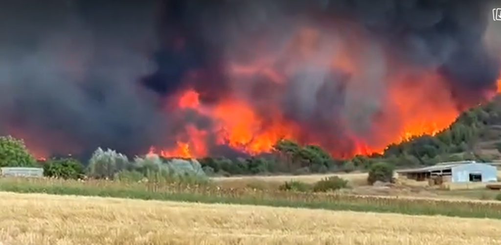 Φωτιά στην Αλεξανδρούπολη: Νέο μήνυμα από το 112 – Κλείνει ξανά η Εγνατία