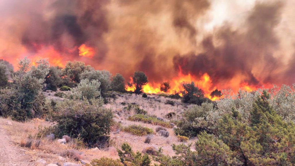 Εβρος: Εκκενώνεται το χωριό Κοτρωνιά εξαιτίας της πυρκαγιάς