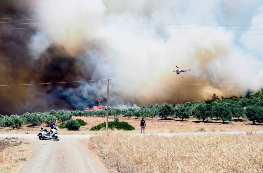 Πυρκαγιά στα Ψαχνά Ευβοίας: Τρία τα πύρινα μέτωπα – Ολονύχτια μάχη με τις φλόγες (Videos)