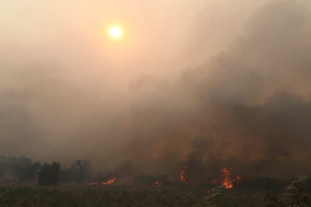 Πυρκαγιά στην Υλίκη Βοιωτίας – Πνέουν ισχυροί άνεμοι στην περιοχή