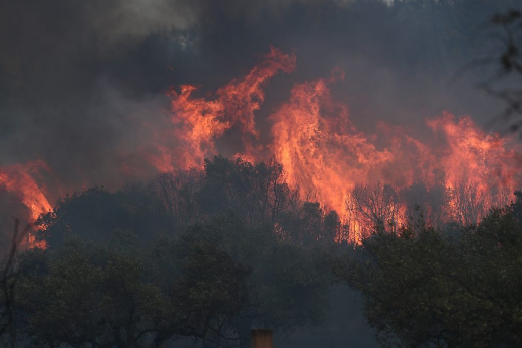 Πύρινος εφιάλτης για 10η ημέρα στον Έβρο – Αγωνία για το δάσος της Δαδιάς (Videos)