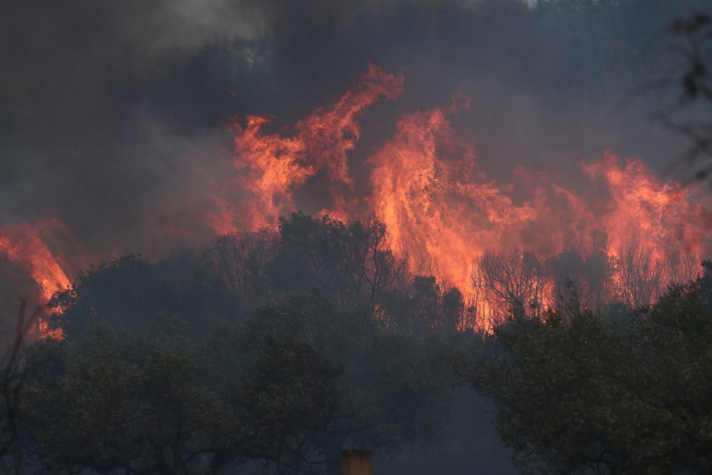 Πυρκαγιά στον Έβρο: Μάχη με τις αναζωπυρώσεις σε δύο μέτωπα