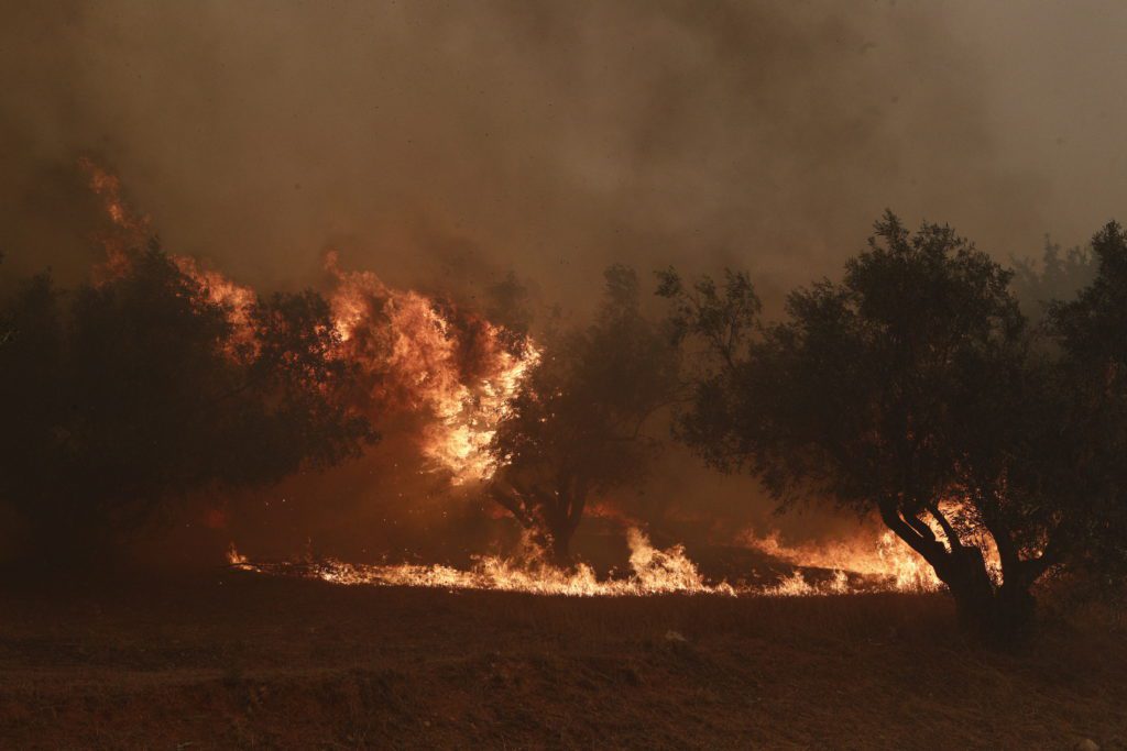 Πυρκαγιές: Πάνω από 400.000 στρέμματα έγιναν στάχτη μέσα σε 3 μέρες