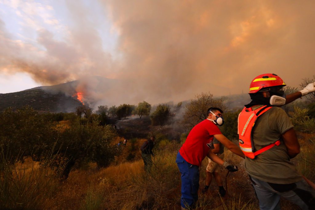 Βοιωτία: Αναζωπύρωση της πυρκαγιάς και μήνυμα 112 για εκκένωση του οικισμού Ζάλτσα