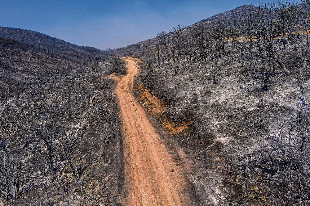 Κάηκε ξανά το δάσος της ∆αδιάς που προστάτευε ο Στυλιανίδης