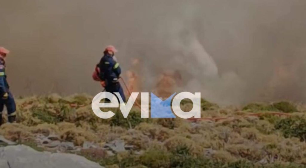 Εύβοια: Μάχη με τις φλόγες στον Άγιο Δημήτριο Καρύστου – Ισχυροί άνεμοι στο σημείο