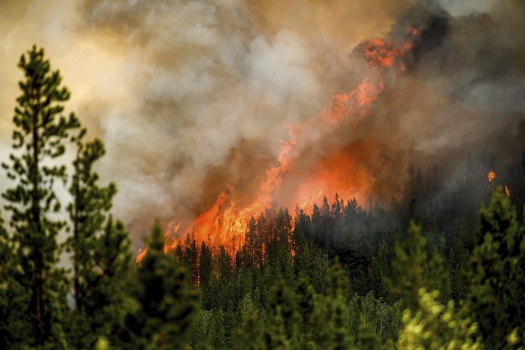 Δραματικά στοιχεία από το Copernicus: Ρεκόρ εκπομπών άνθρακα από τις δασικές πυρκαγιές στον Καναδά