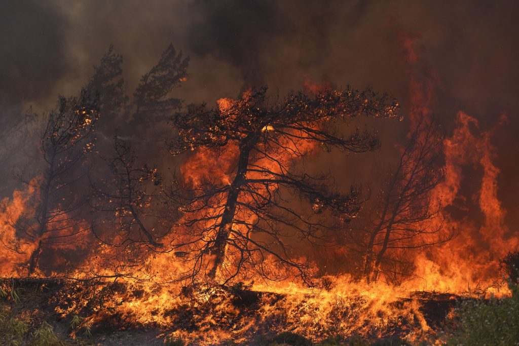 Φθιώτιδα: Μεγάλη πυρκαγιά στην περιοχή Γκάτζα του Δήμου Λοκρών