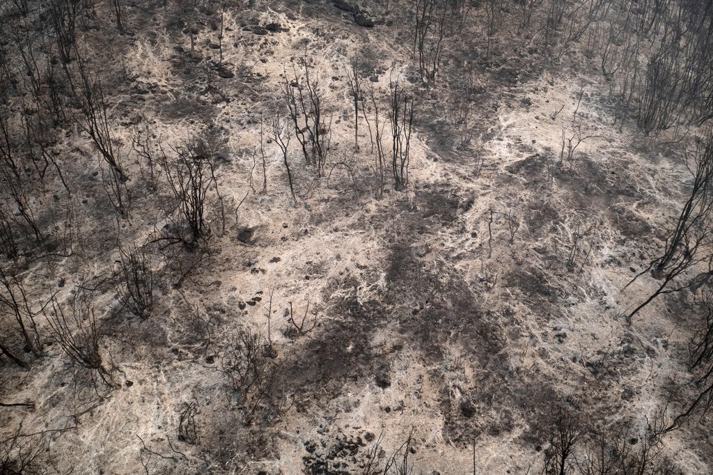 Πυρκαγιές: Σοκάρουν τα στοιχεία του Meteo – Στάχτη περισσότερα από 1.200.000 στρέμματα