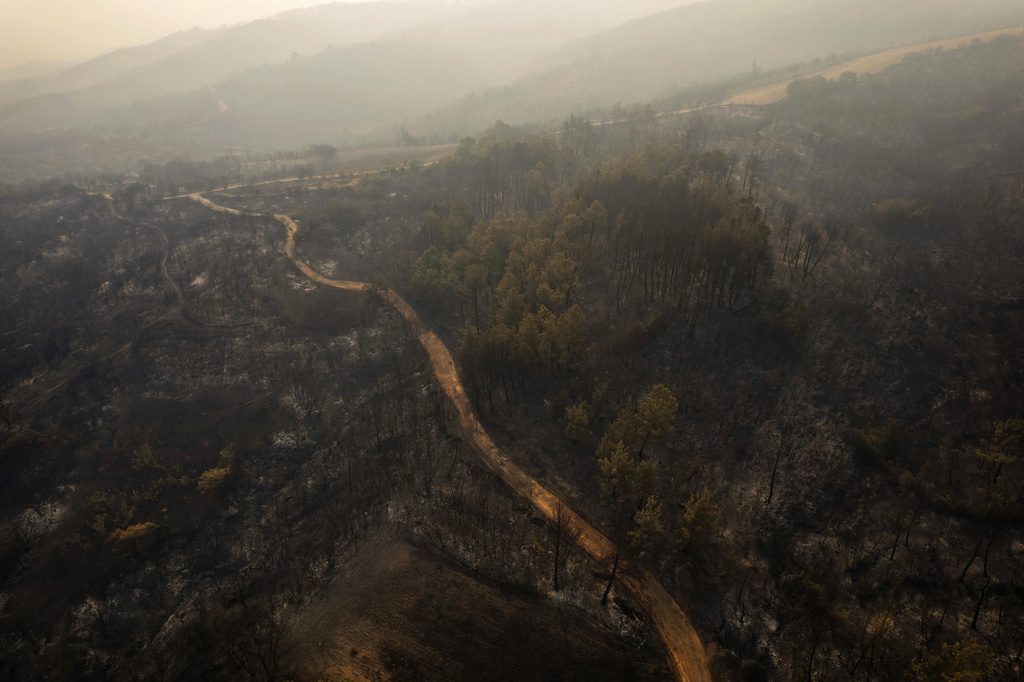 H Διεθνής Αμνηστία για τους 19 νεκρούς της πυρκαγιάς στον Έβρο: Είναι θύματα δύο τεράστιων αδικιών της εποχής μας