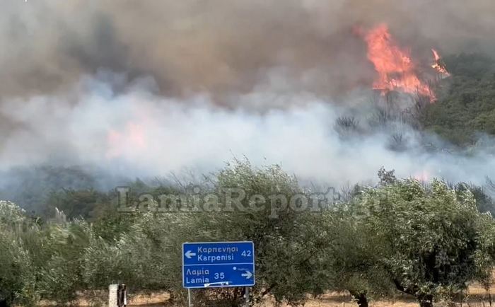 Φωτιά στη Φθιώτιδα: Εντολή εκκένωσης για το χωριό Βίτωλη της Μακρακώμης