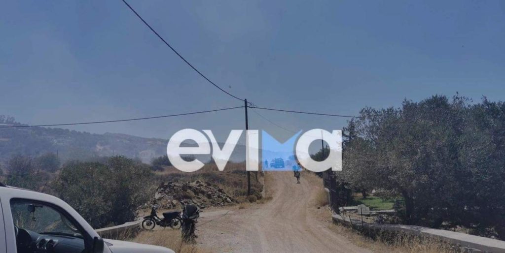 Εύβοια: Υπό έλεγχο η φωτιά που ξέσπασε κοντά σε εξοχικά στην Κάρυστο