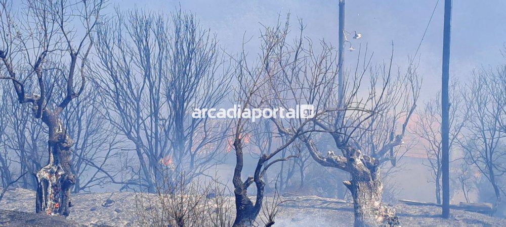 Τρίπολη: Πύρινο μέτωπο στη Β. Κυνουρία – Κάηκαν σπίτια στην Αγία Σοφία