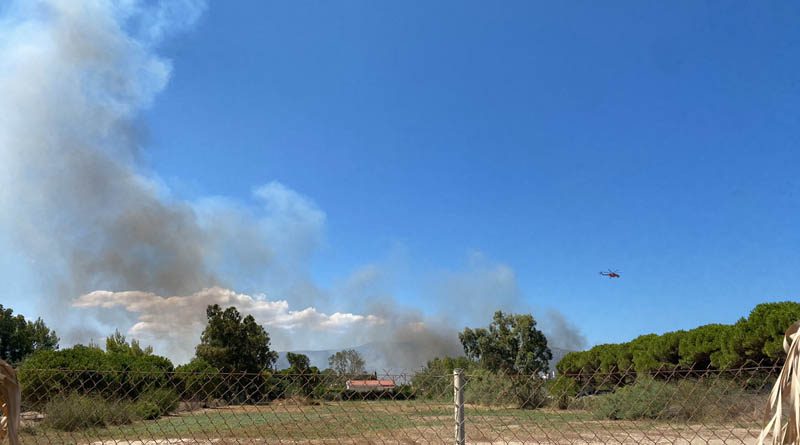 Υπό μερικό έλεγχο η πυρκαγιά στον Μαραθώνα