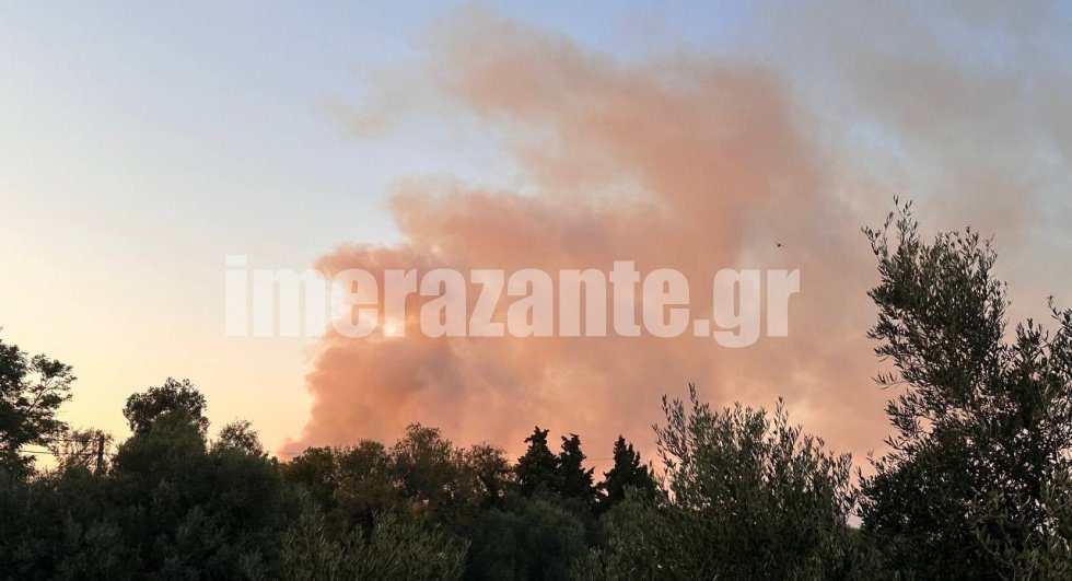 Μεγάλη φωτιά στη Ζάκυνθο – Μήνυμα του «112» προς τους κατοίκους της περιοχής Τσιλιβί (Photos)