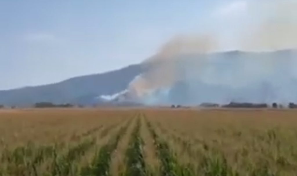 Καβάλα: Μεγάλη πυρκαγιά σε εξέλιξη στον δήμο Παγγαίου (Video)