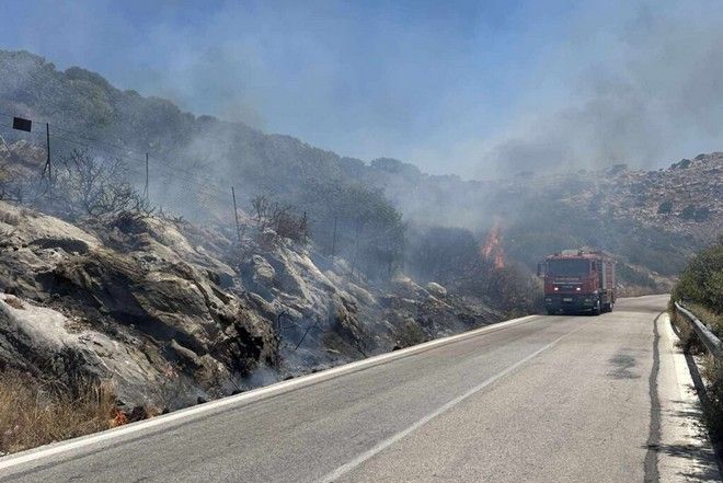 Κρήτη: Υπό έλεγχο η φωτιά στο δάσος της Κέρης