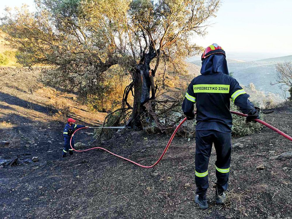 Πυρκαγιές: Υπό μερικό έλεγχο τα μέτωπα σε Κάρυστο και Πύλο – 31 φωτιές σε μια μέρα