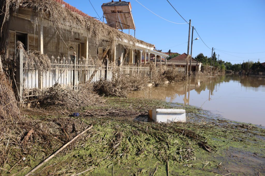 Πλημμύρες: Καταστροφή στην κτηνοτροφία – Τουλάχιστον 50.000 νεκρά αιγοπρόβατα – SOS για τα ζωντανά