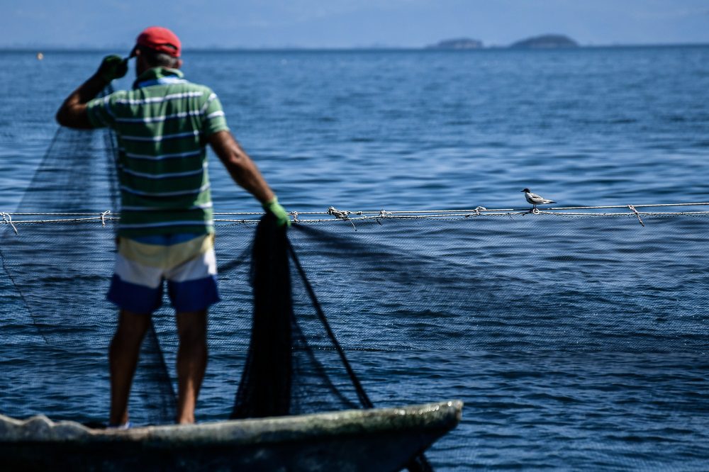 Μαγνησία: Μετά την καταστροφή σε χωράφια και στάνες, τέλος και τα ψάρια – Ακατάλληλος για αλίευση ο Παγασητικός