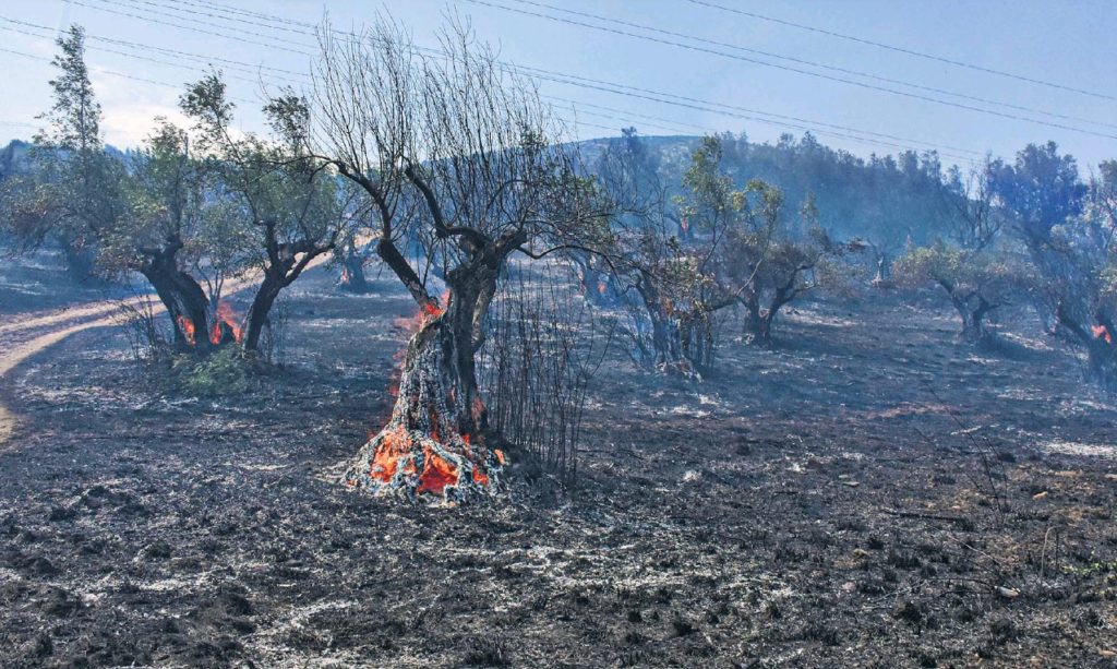 Ράλι ακρίβειας το φθινόπωρο