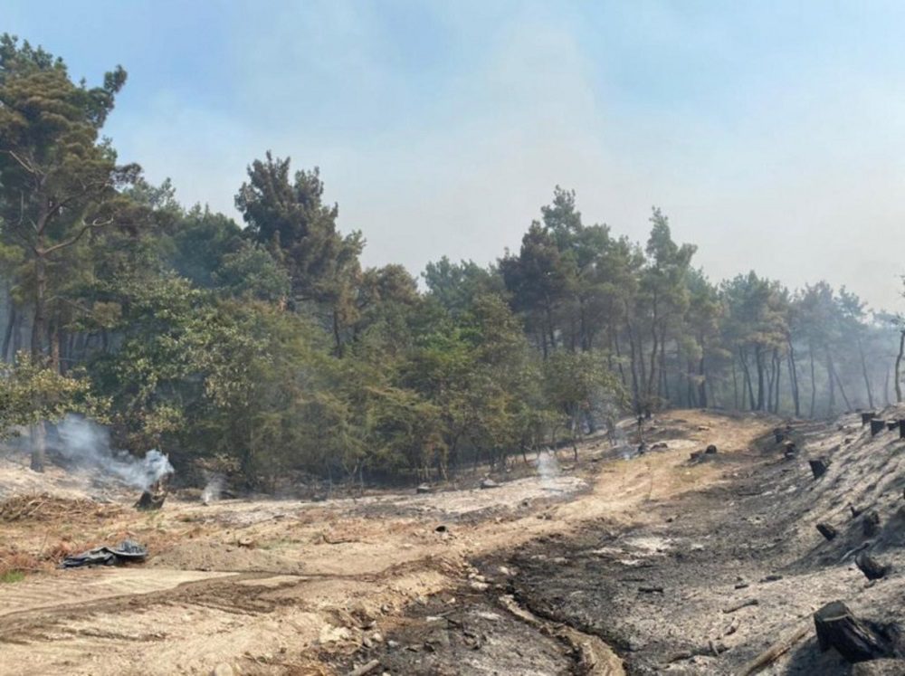 Φωτιά στον Έβρο: Κάηκε σχεδόν το 60% του Δάσους Δαδιάς