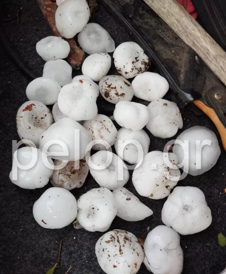Κακοκαιρία Elias- Καλάβρυτα: Χαλάζι σε μέγεθος πέτρας έσπασε παρμπρίζ οχημάτων (Photos)