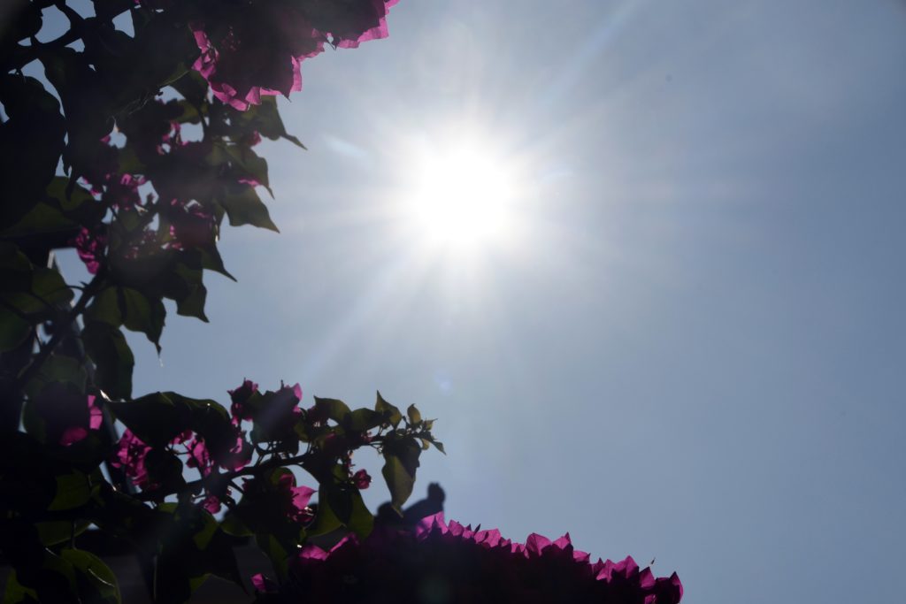 Καιρός: Ηλιοφάνεια με υψηλές θερμοκρασίες και τη Δευτέρα – Η πρόγνωση της ΕΜΥ