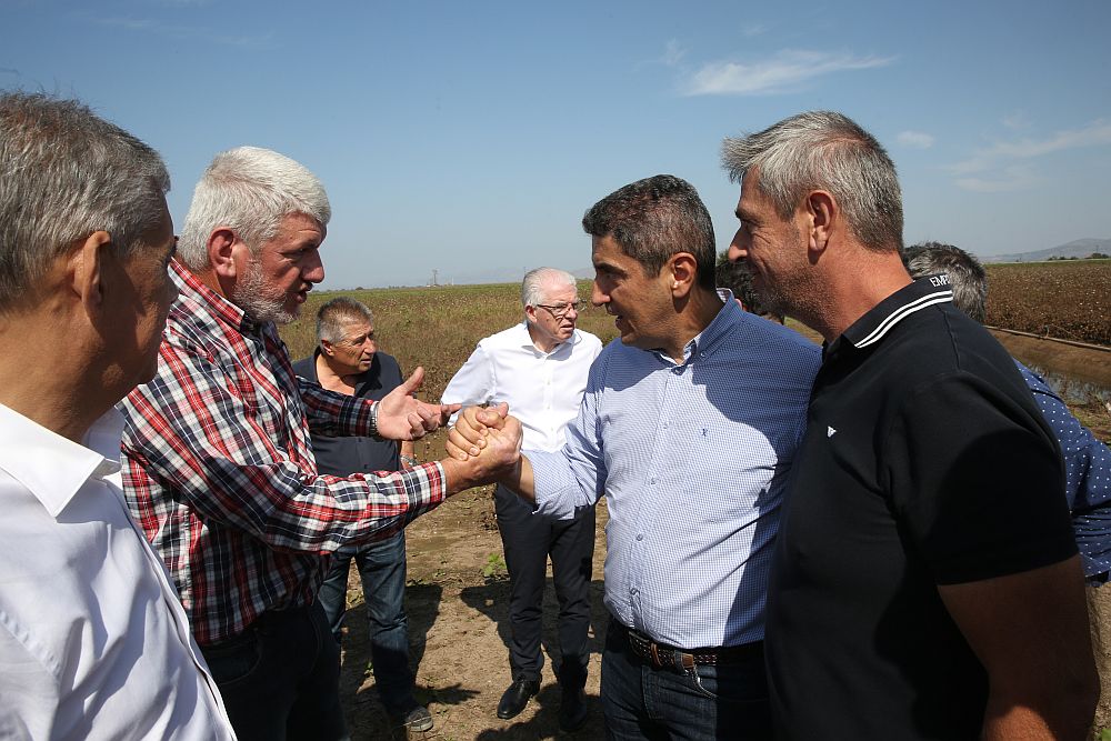 Τελιγιορίδου: «Ο Αυγενάκης να αποζημιώσει εδώ και τώρα τους πληγέντες αγρότες»