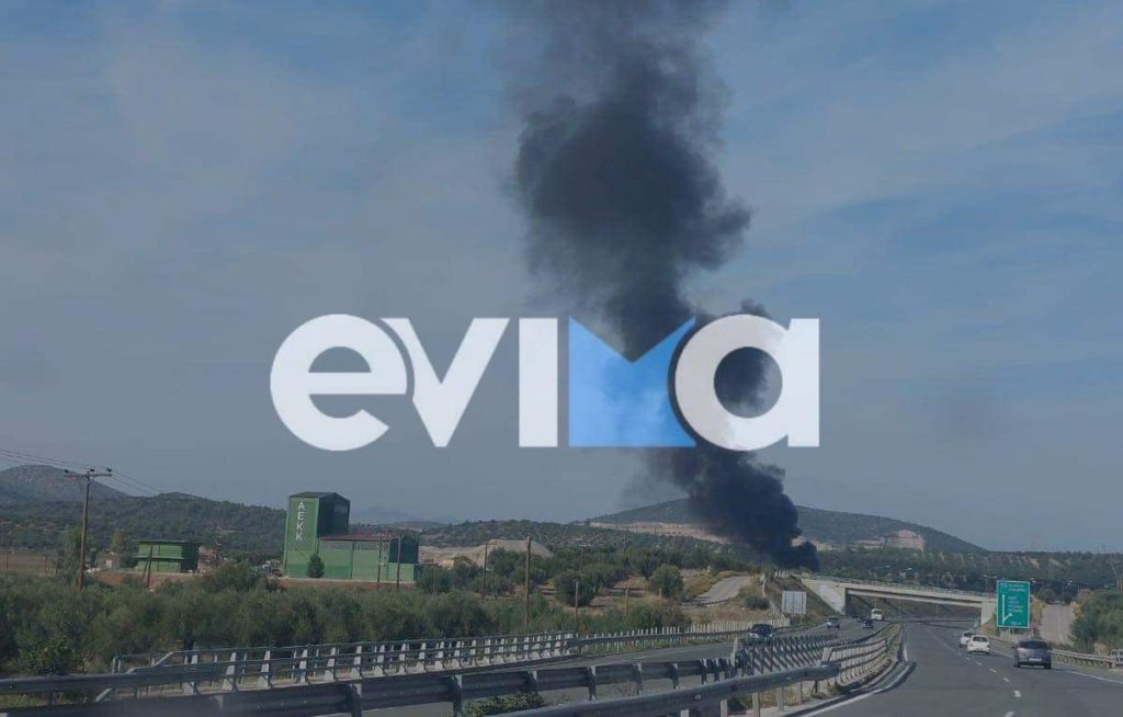 Φωτιά σε εργοστάσιο στην Εύβοια – Συναγερμός στην πυροσβεστική (Video)