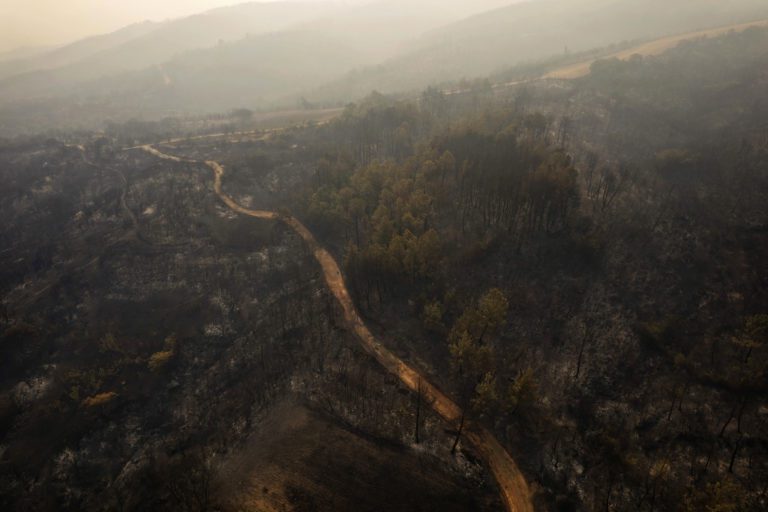 Έβρος: Δημοσίευμα κόλαφος των NYT – «Ρίσκαραν τη ζωή τους για να αποφύγουν την επαναπροώθηση»