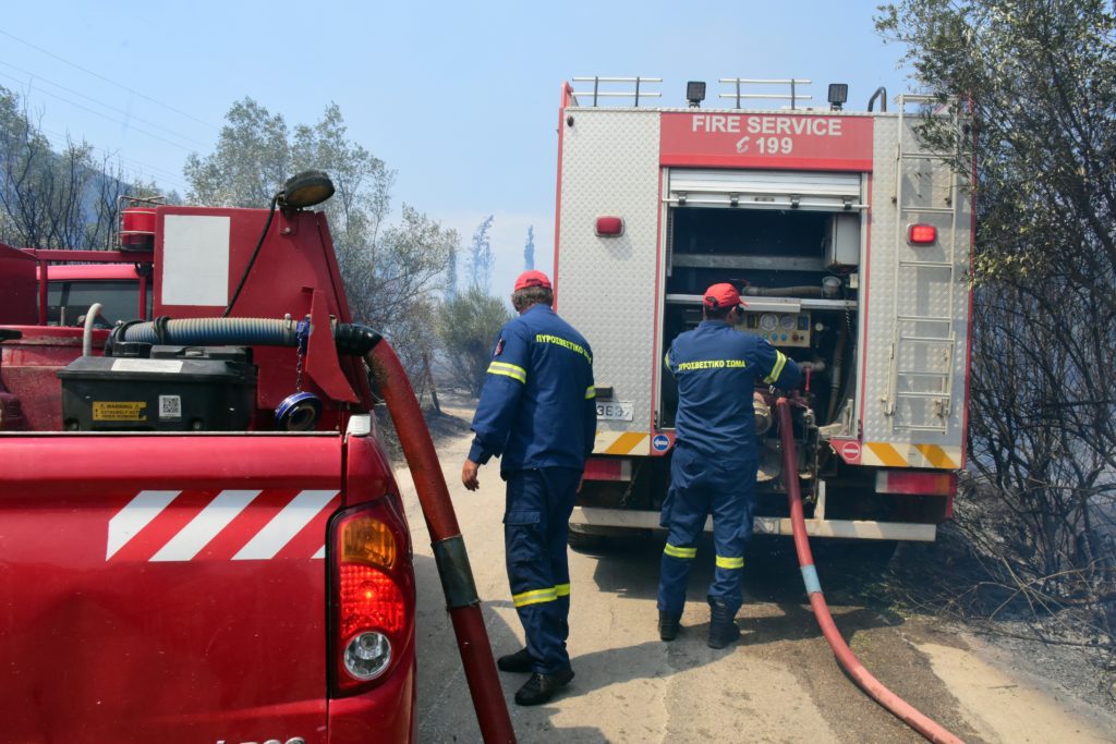 Φωτιά στον Σχοινιά Αττικής