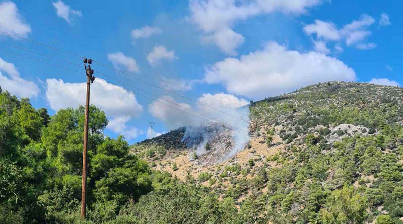 Φωτιά στη Νέα Μάκρη: Διακοπή κυκλοφορίας στη λεωφόρο Διονύσου λόγω της πυρκαγιάς (Photos & Video)