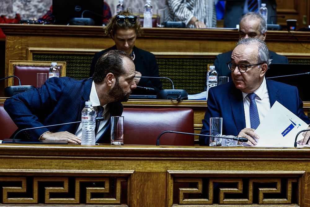 Ταμείο Ανάκαμψης: Παραδοχή Παπαθανάση για «ψίχουλα» στις μικρομεσαίες επιχειρήσεις