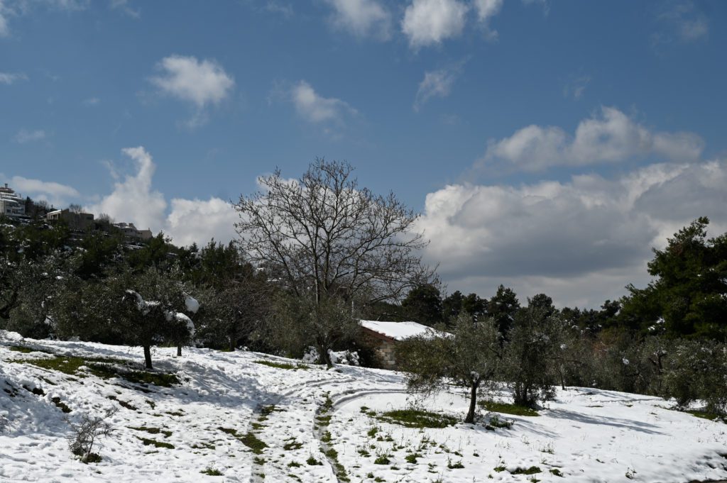 Καιρός: Πότε έρχεται βαρύς χειμώνας – Τα πρώτα στοιχεία για τους δύο επόμενους μήνες (Video)