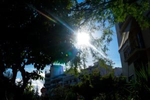 Καιρός: Μετά τις καταιγίδες&#8230; ανοιξιάτικο σκηνικό &#8211; Ζέστη, νοτιάδες και αφρικανική σκόνη