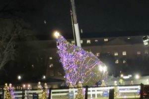 ΗΠΑ: Έπεσε το χριστουγεννιάτικο δέντρο μπροστά από τον Λευκό Οίκο (Videos)