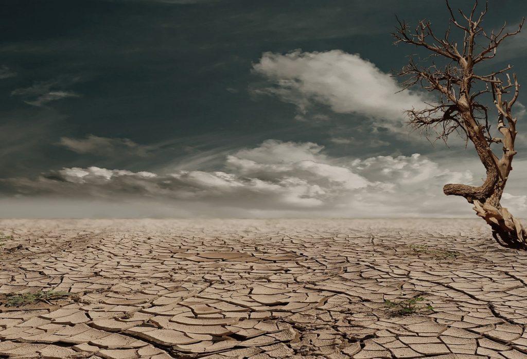 Κλιματική κρίση: Πάμε σε όλο και πιο θερμά έτη – Η ξηρασία το μεγαλύτερο πρόβλημα